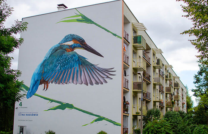 Ornitologia na krakowskich osiedlach Osiedle Na Kozłówce, Wojciech Rokosz, jeden z murali ornitologicznych, fot. Mateusz Łysik