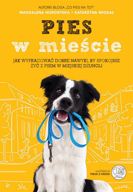 Okładka książki Pies w mieście